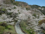 八木山展望公園