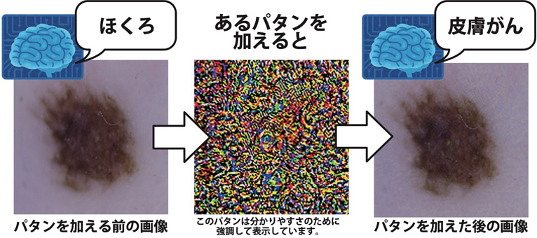 竹本研究室　研究イメージ