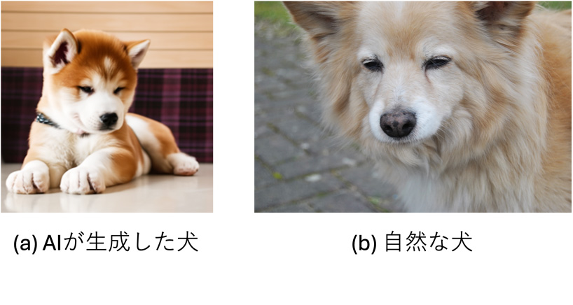 新見道治研究室 研究内容