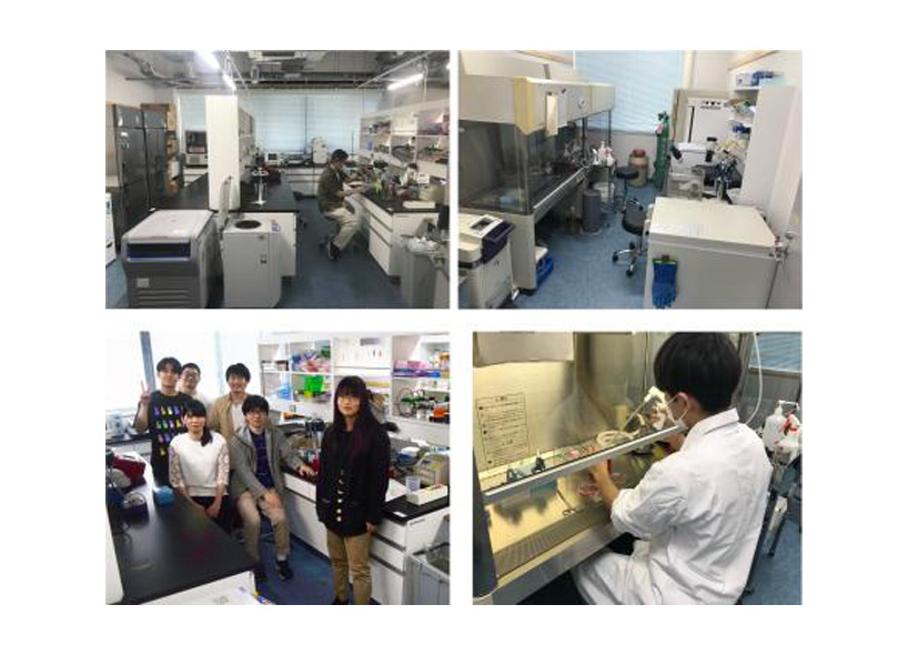 平研究室の様子