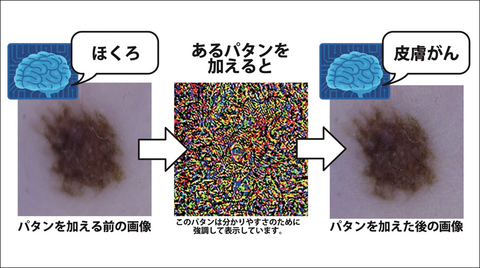 竹本研究室