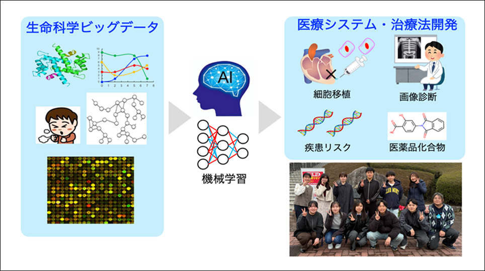 濱野桃子研究室 研究イメージ